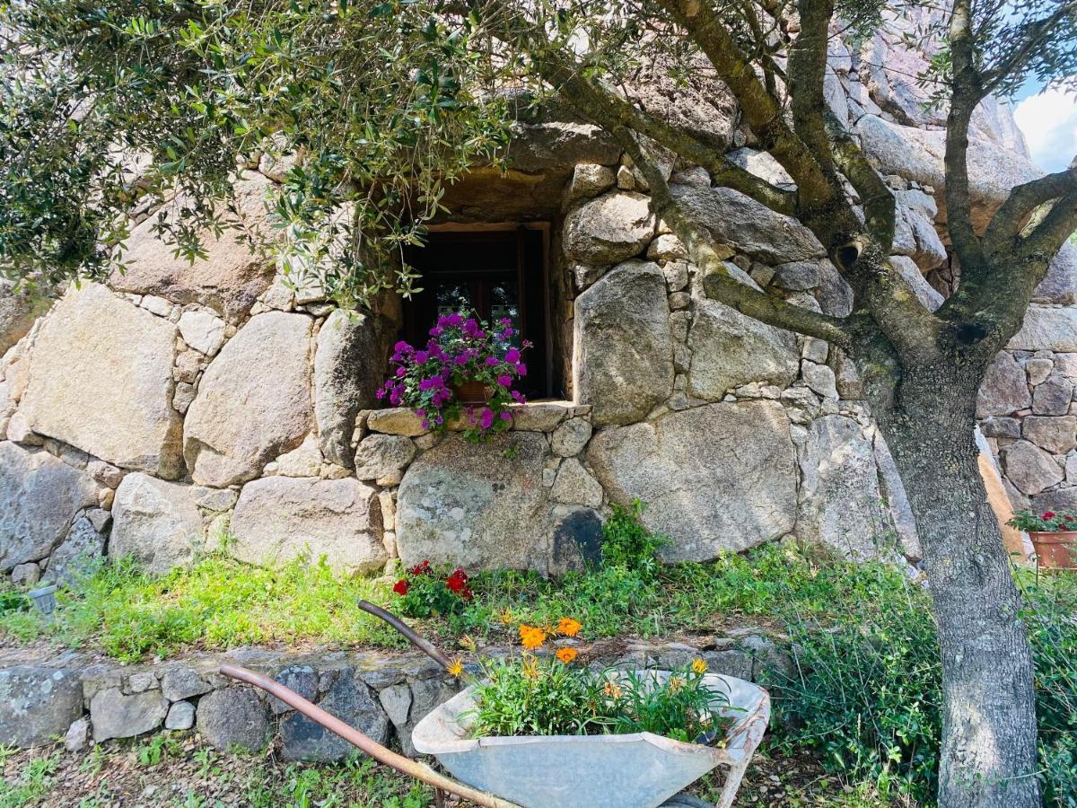 Il Nuraghe Del Lago Coghinas Oschiri Eksteriør billede