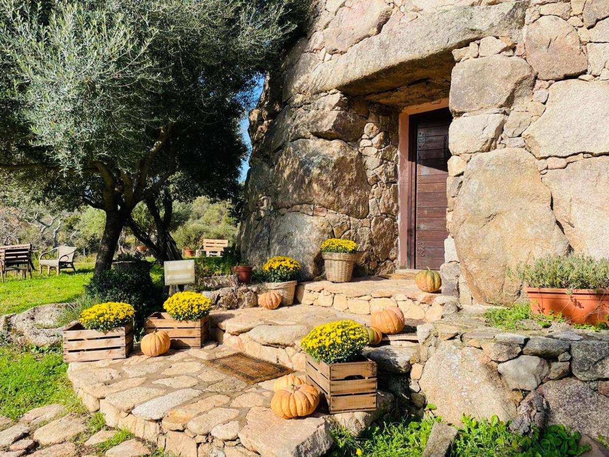 Il Nuraghe Del Lago Coghinas Oschiri Eksteriør billede
