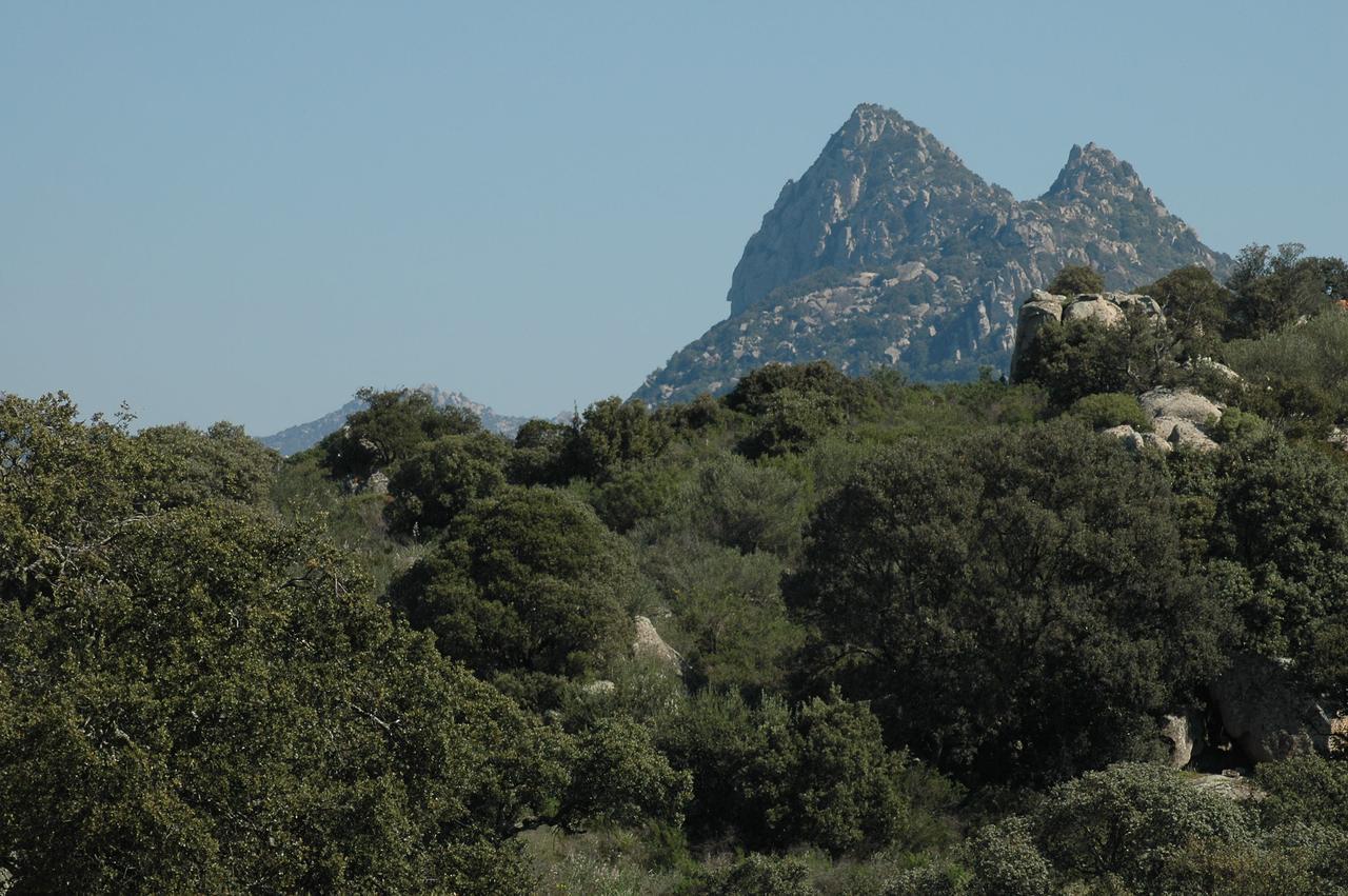 Il Nuraghe Del Lago Coghinas Oschiri Eksteriør billede