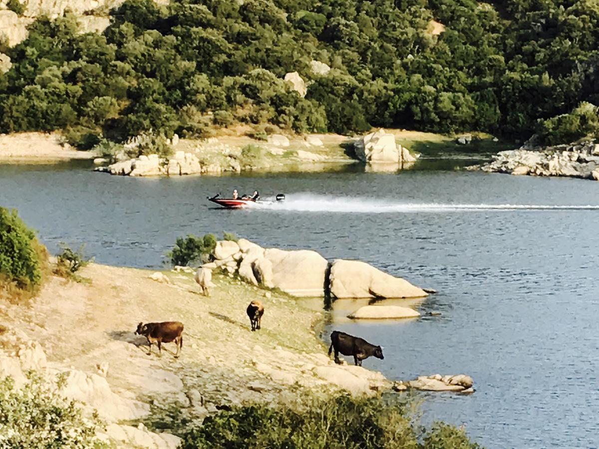 Il Nuraghe Del Lago Coghinas Oschiri Eksteriør billede
