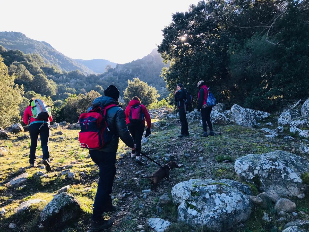 Il Nuraghe Del Lago Coghinas Oschiri Eksteriør billede